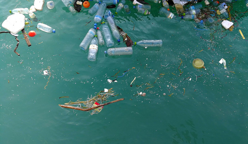Rác thải nhựa trên biển - tác hại và biện pháp