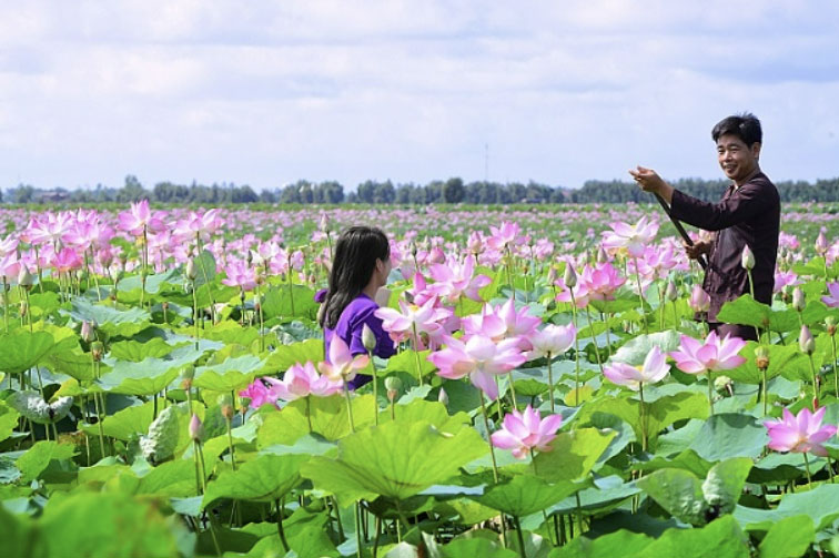 Top 10 loài hoa tiêu biểu của Việt Nam - Hoa Việt Nam